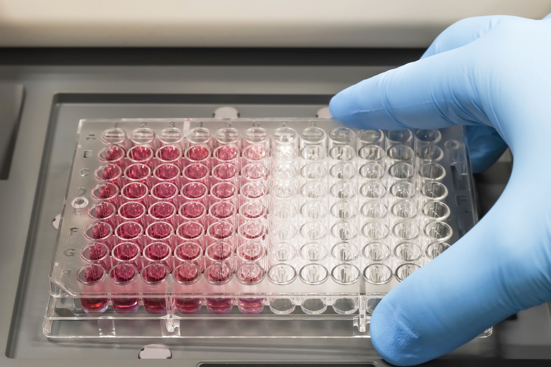 plate scientific testing research laboratory
